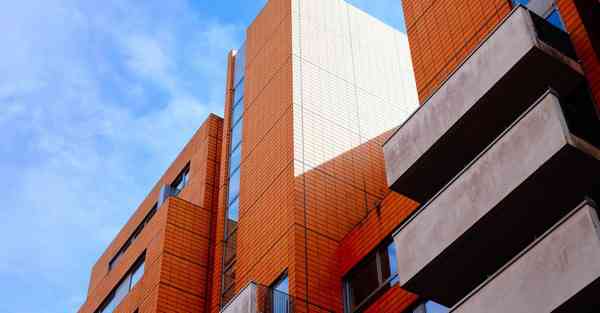 动画公司排名国内前十名