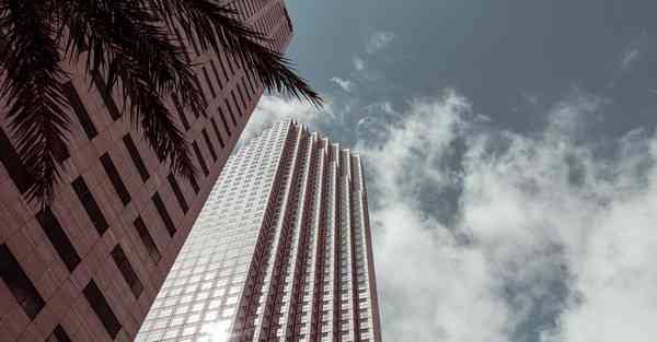 场景布局设计软件