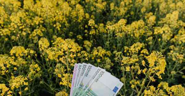 明星宣传片制作教程