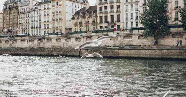 活动宣传片的制作_活动宣传片4分钟