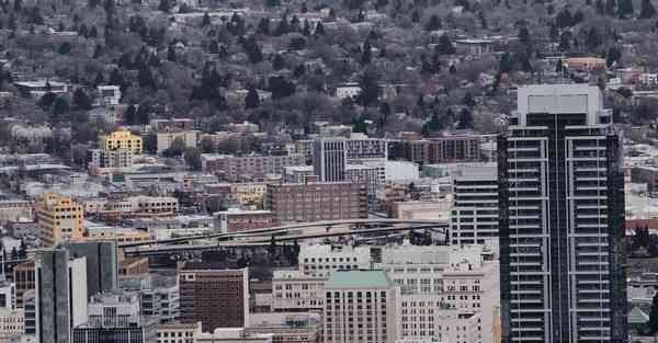 人与自然恐龙时代_人与自然恐龙时代全集