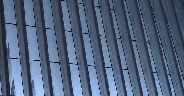 人与自然宣传画_人与自然和谐共生作文