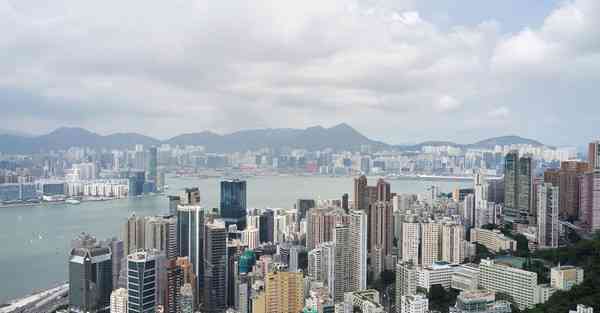 制作酒豆的方法_制作酒豆的方法窍门