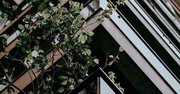 城区宣传片制作方案