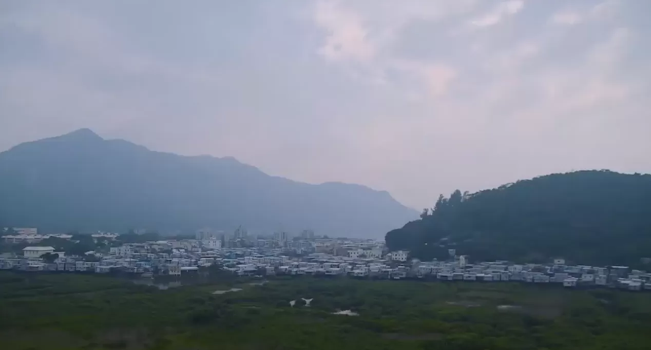 绿叶居伍仁月饼