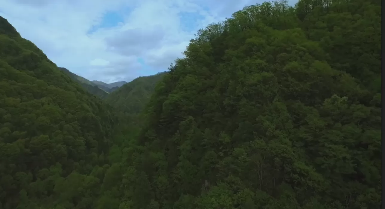 NatureLad植物能量饮料穿品宣传片